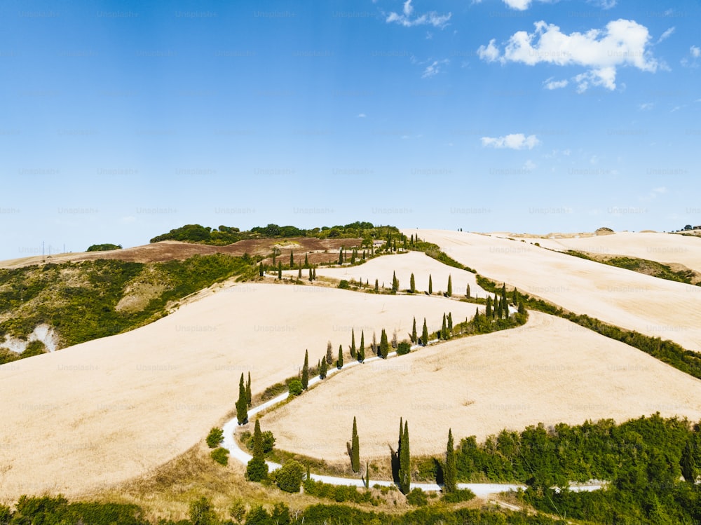 an aerial view of a field with trees