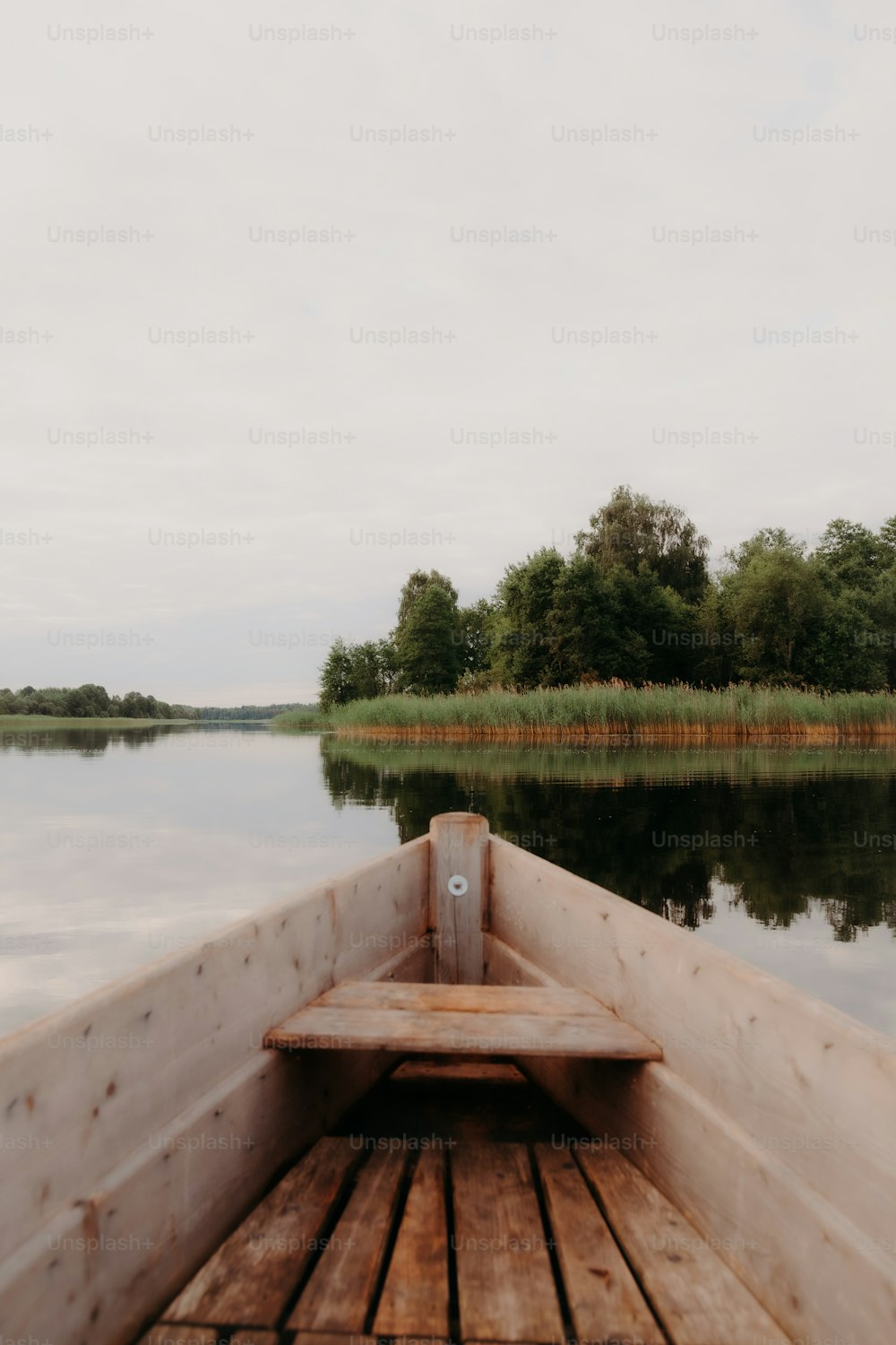a boat on a body of water with trees in the background