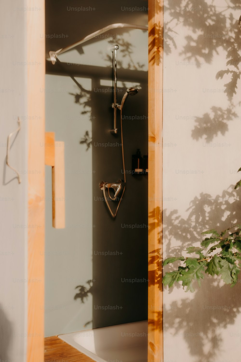 a bathroom with a shower and a plant in the corner