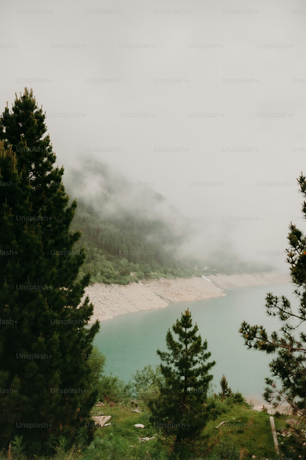un cuerpo de agua rodeado de árboles en un día nublado
