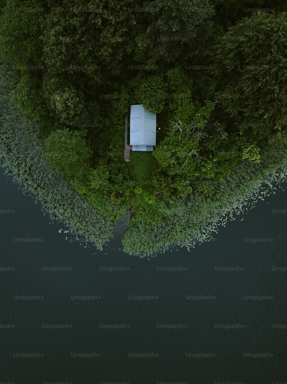 an aerial view of a house in the middle of a forest