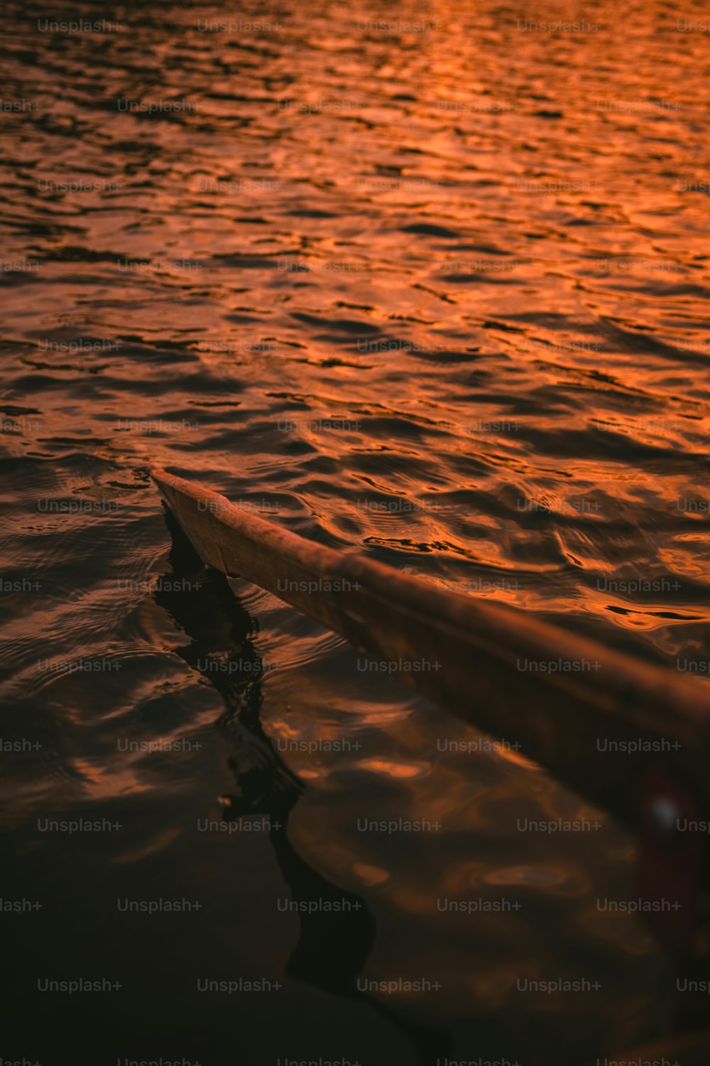 a surfboard sitting on top of a body of water