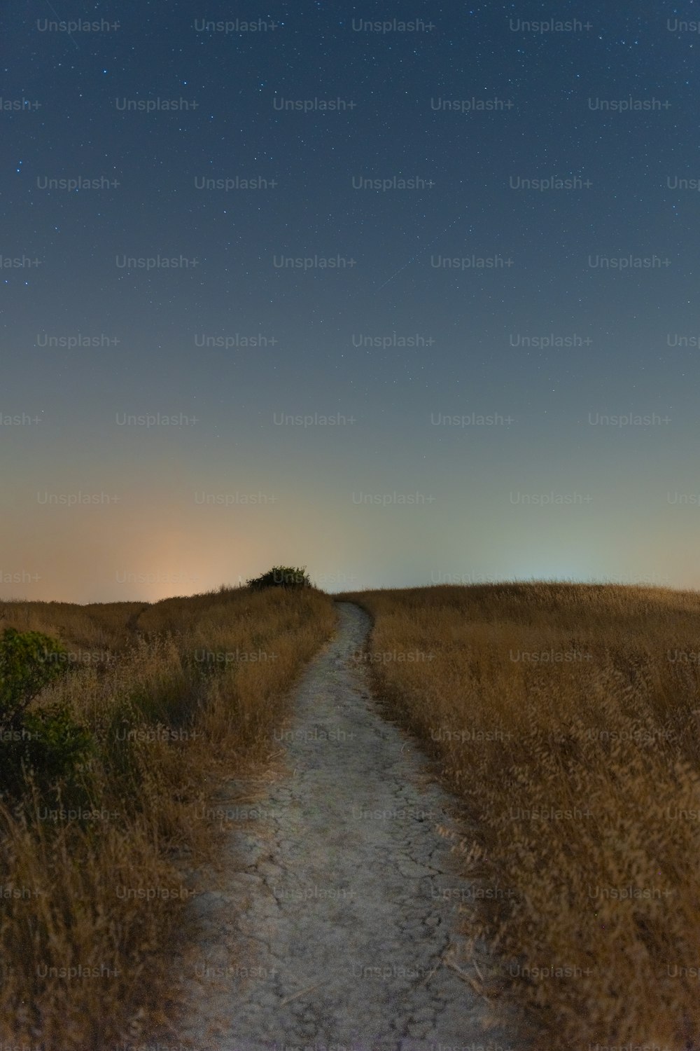a dirt path in a grassy field under a night sky