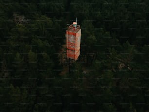 숲 한가운데에 있는 높은 탑
