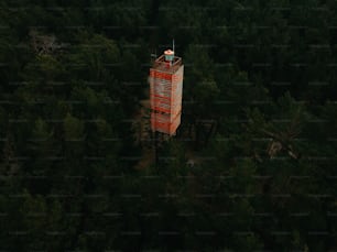 Una torre alta en medio de un bosque