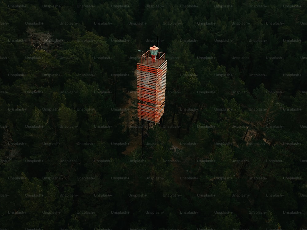 Une haute tour au milieu d’une forêt