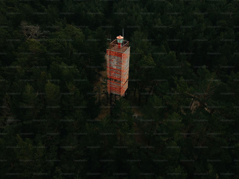 uma torre alta no meio de uma floresta