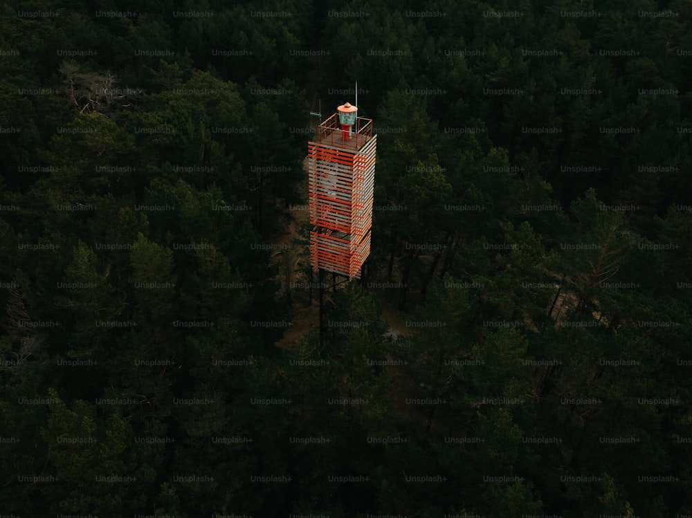 a tall tower in the middle of a forest