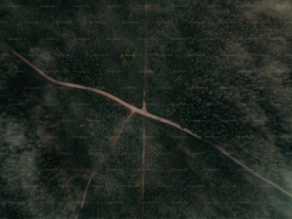 an aerial view of a road in the middle of a forest