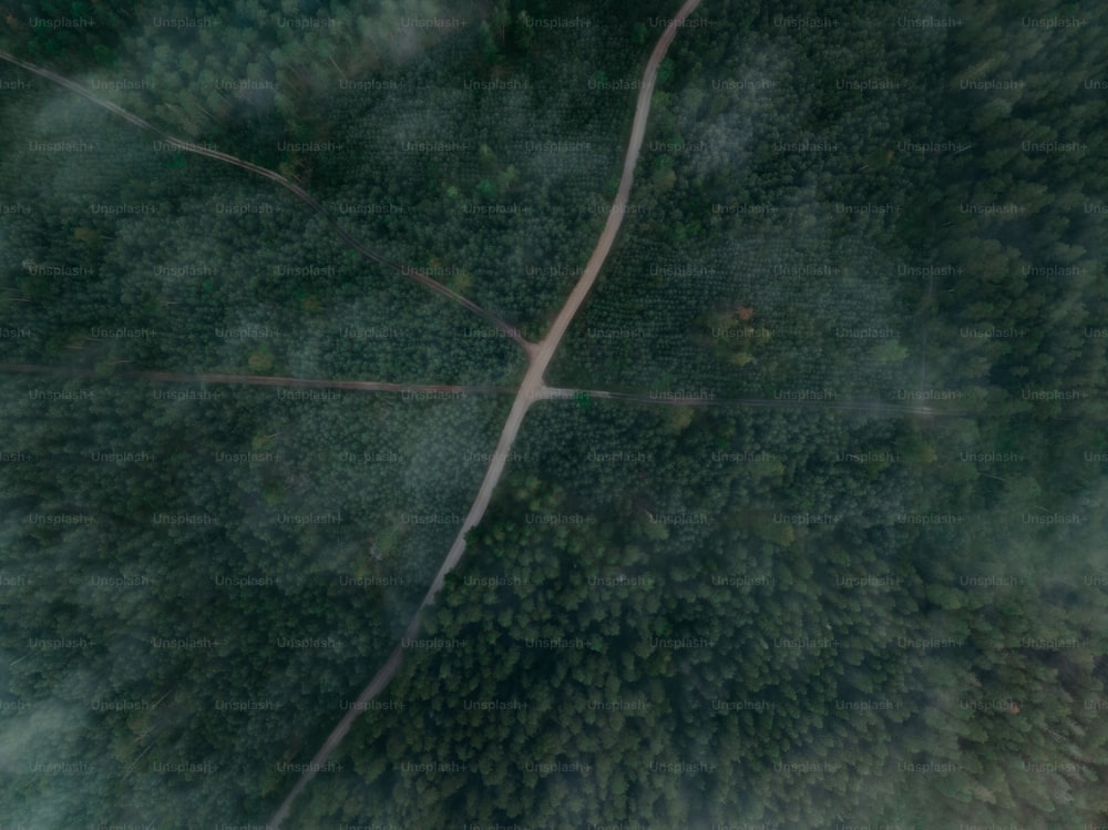 an aerial view of a road in the middle of a forest