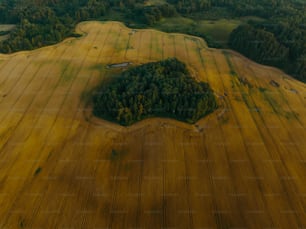 an aerial view of a field with trees