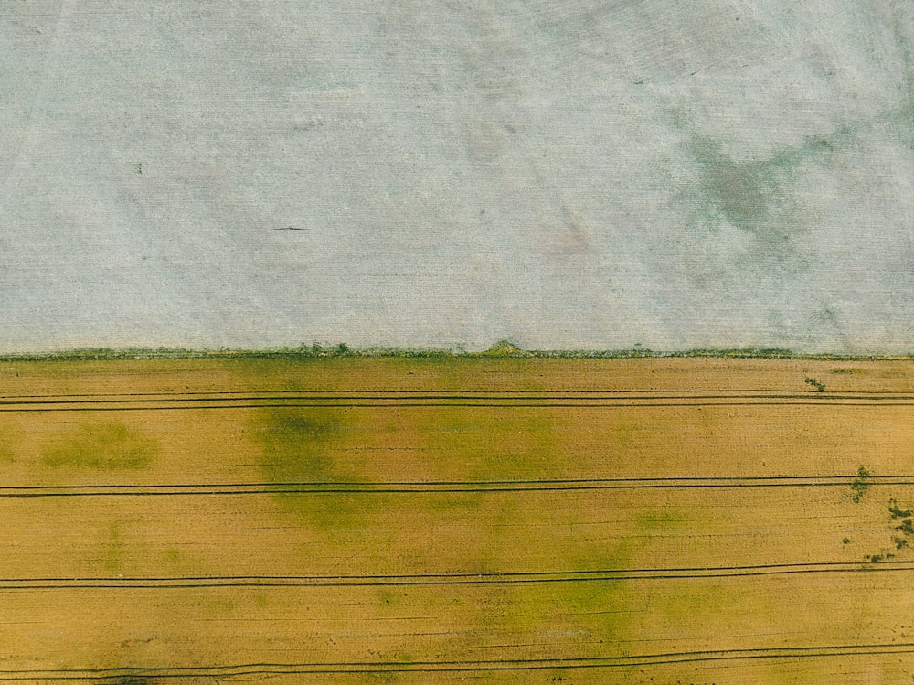 une peinture d’un champ jaune avec un ciel bleu en arrière-plan