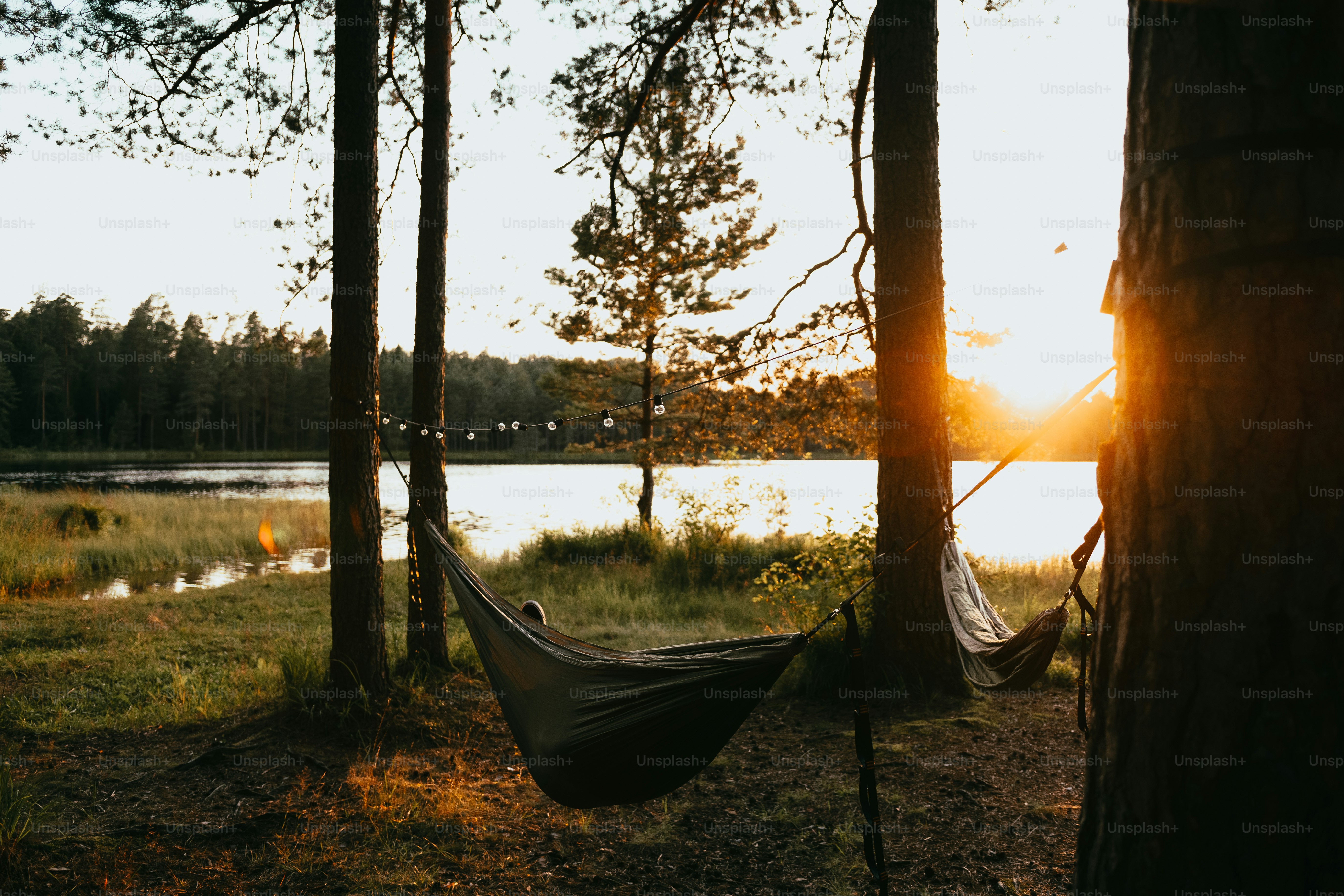 a hammock hanging from a tree near a lake