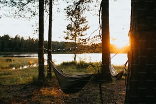 a hammock hanging from a tree near a lake