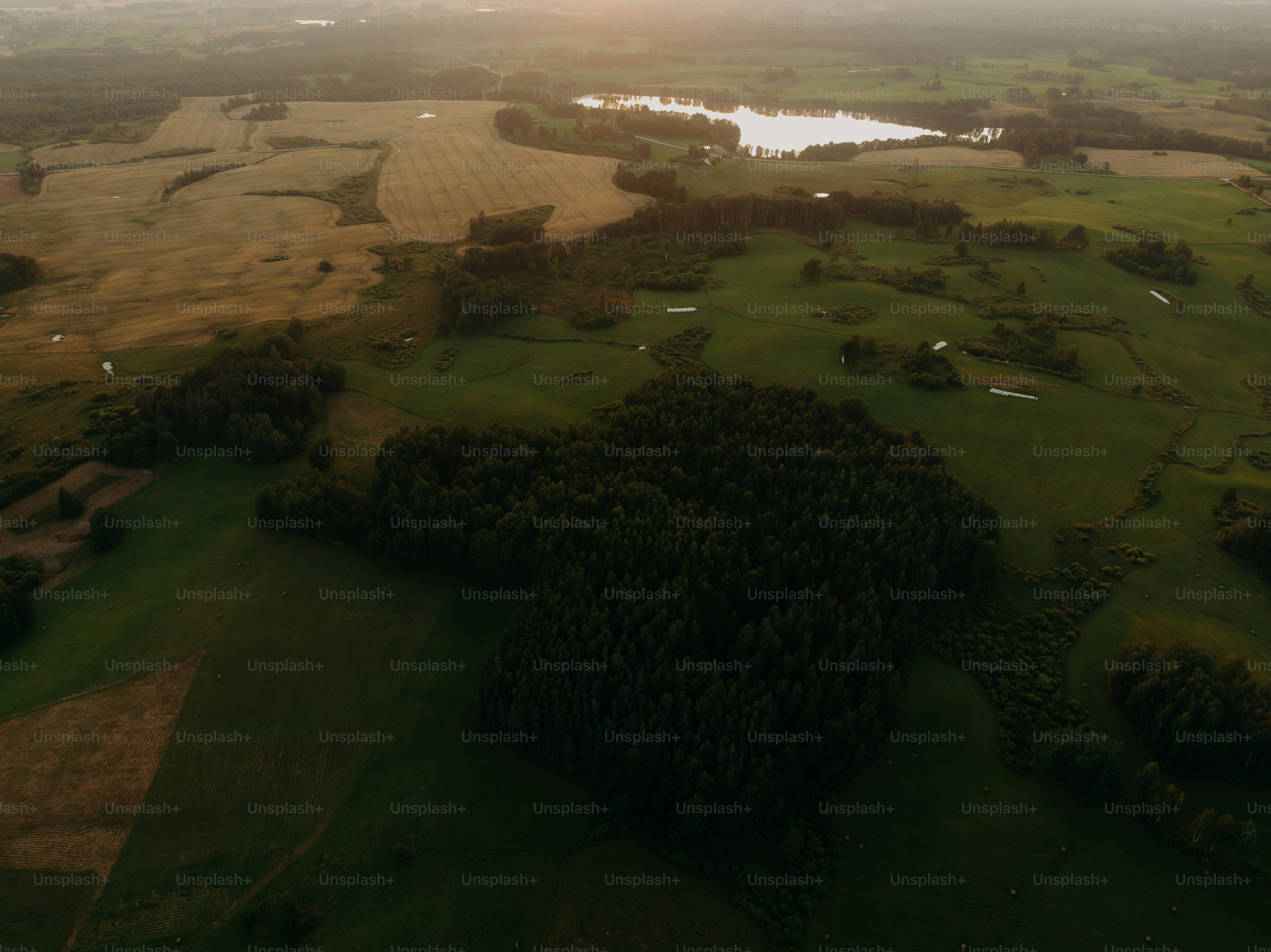 an aerial view of a golf course surrounded by trees