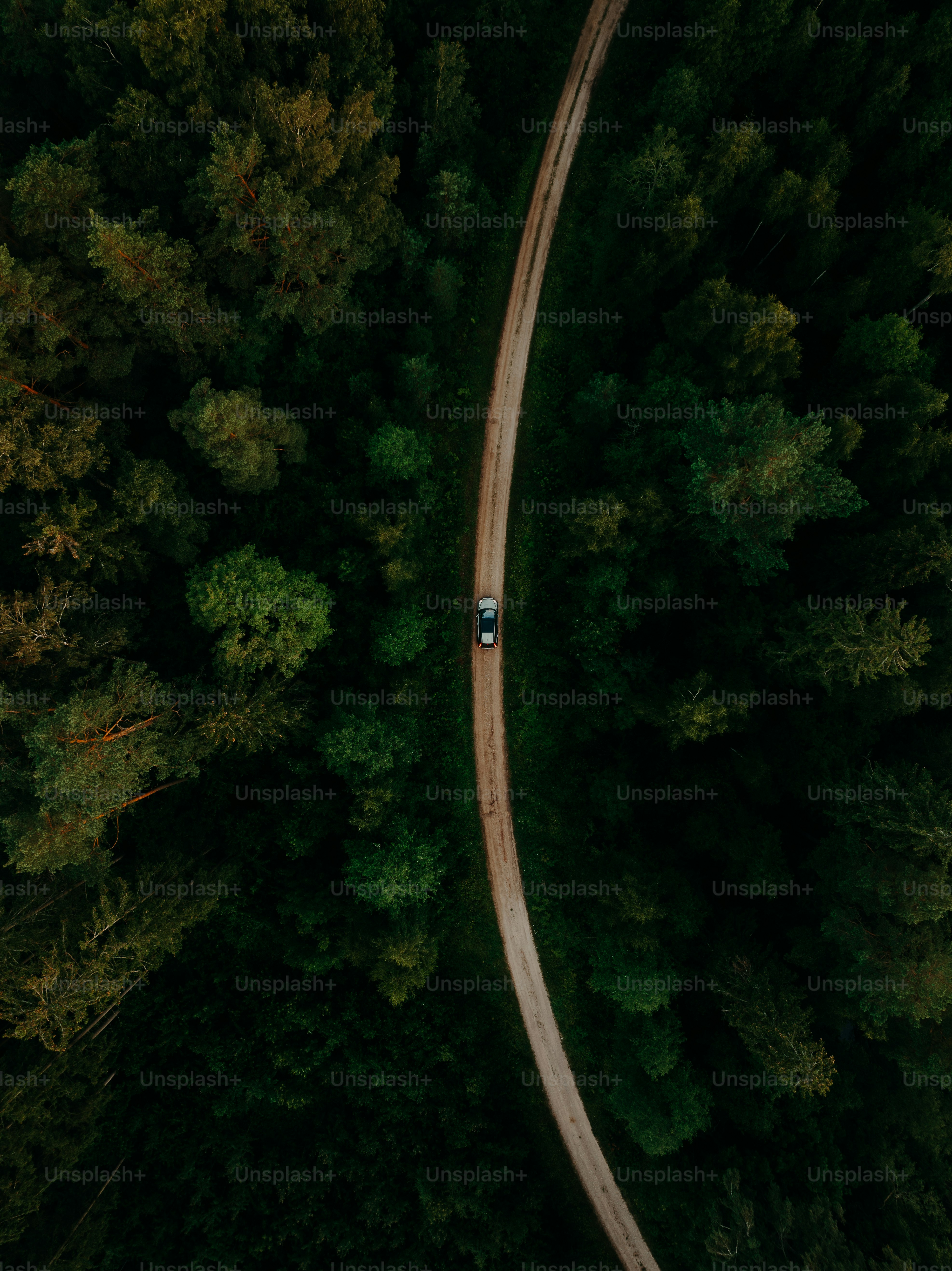 Une voiture roulant sur une route au milieu d’une forêt