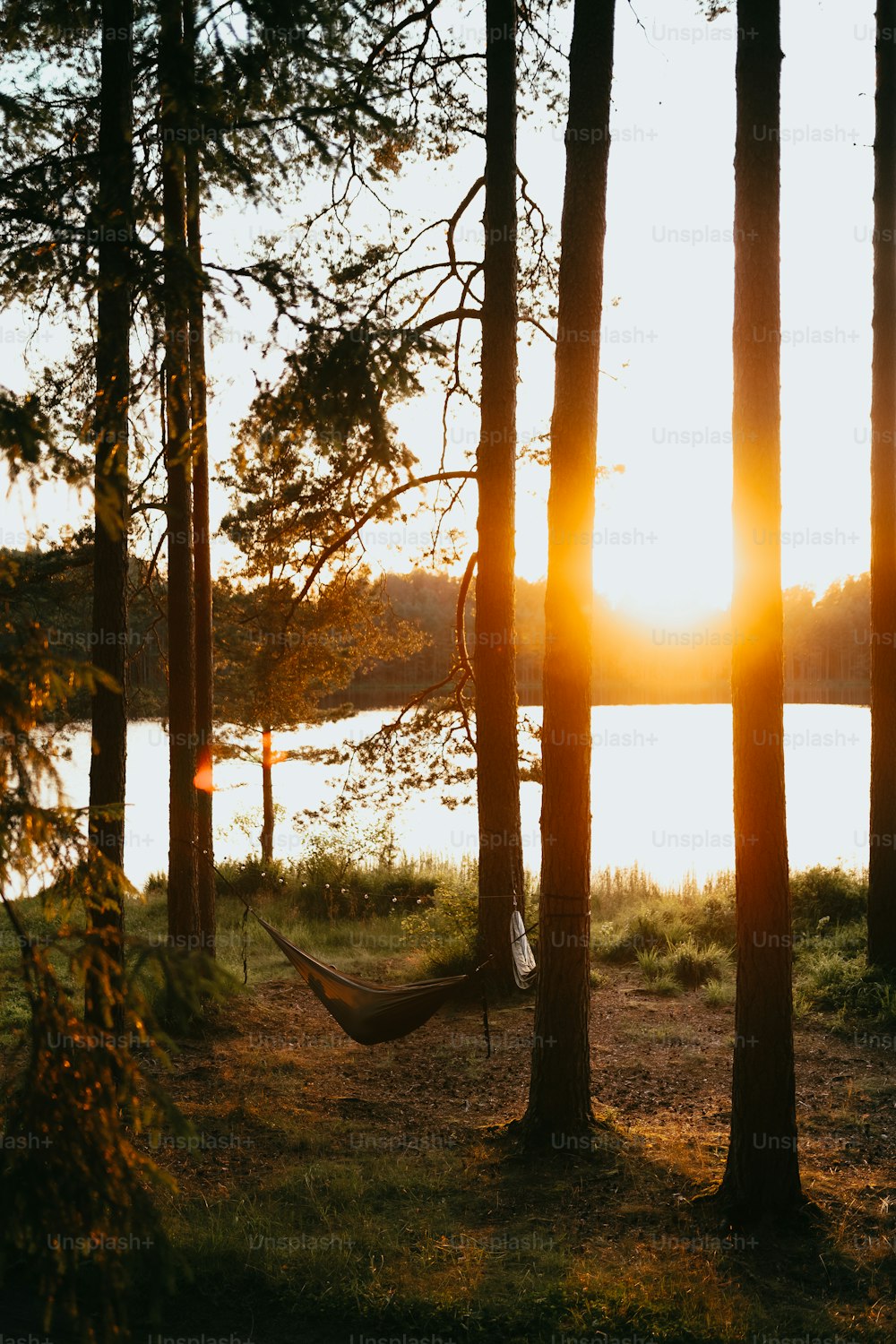 a hammock hanging between two trees with the sun setting in the background