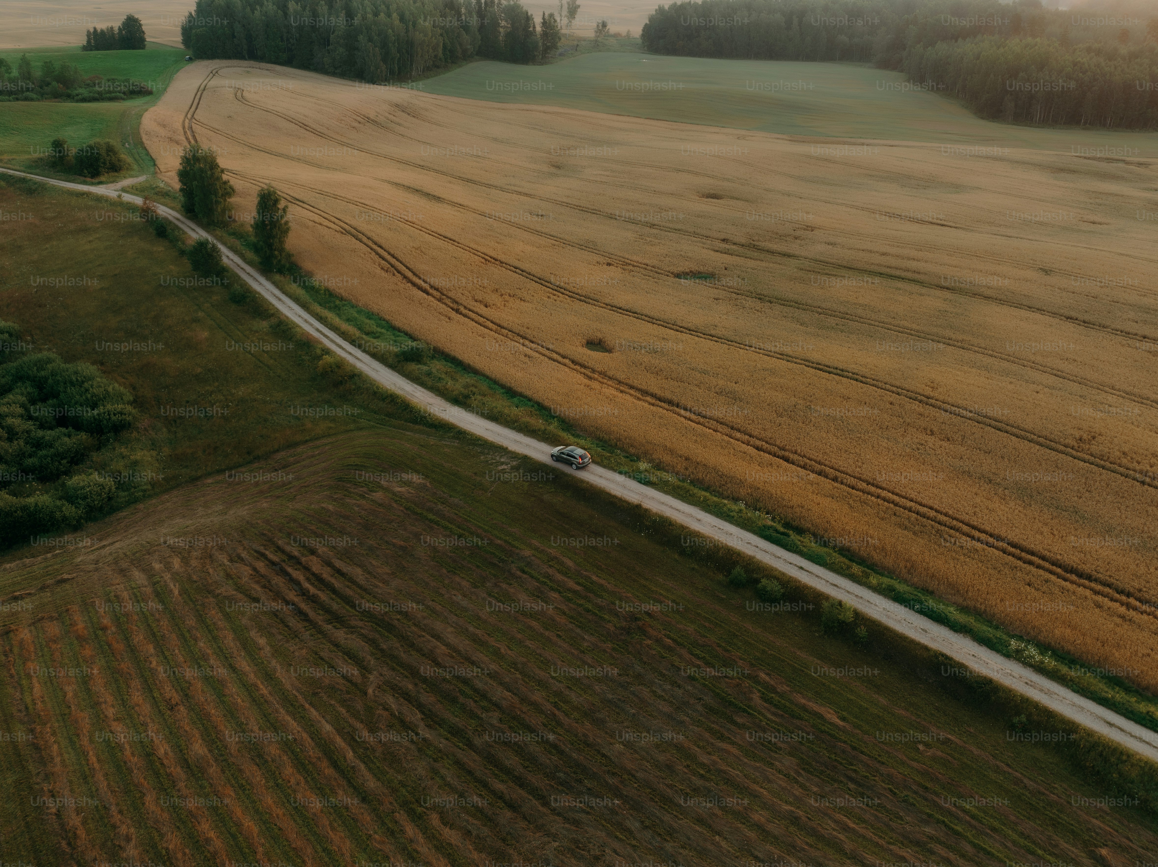 an aerial view of a road and a field