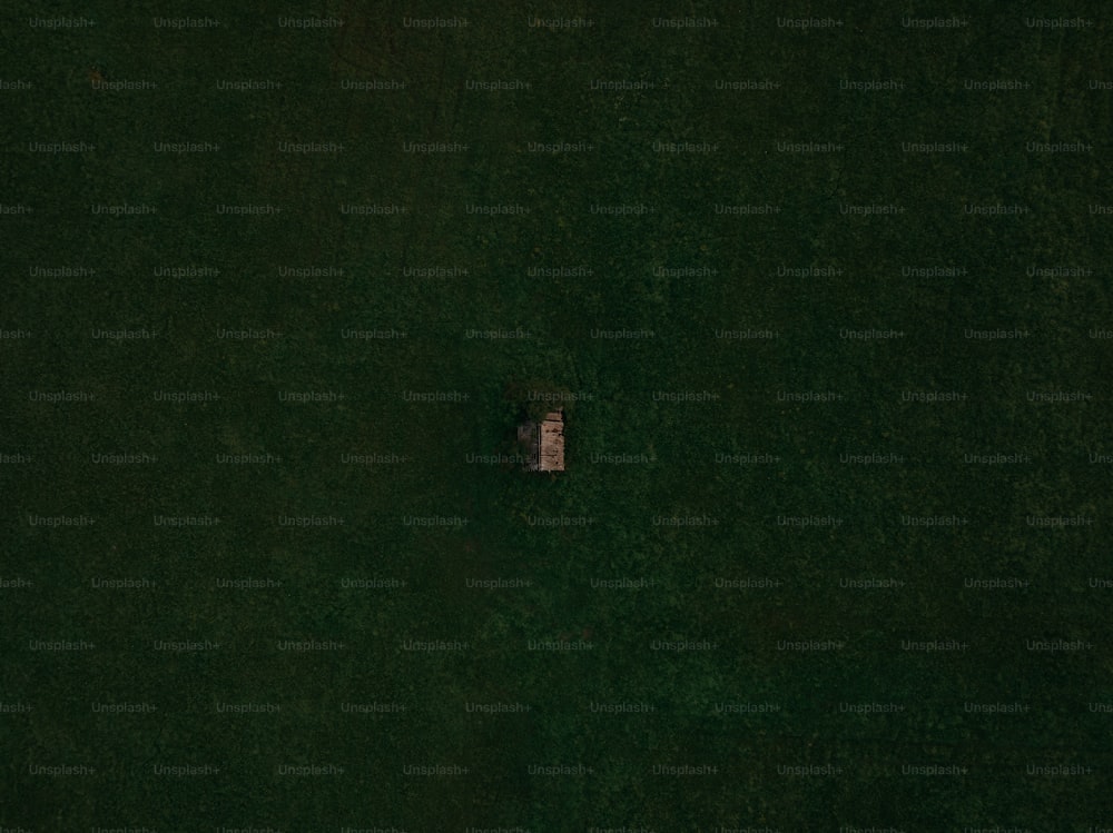 una vista aerea di una persona sdraiata nell'erba