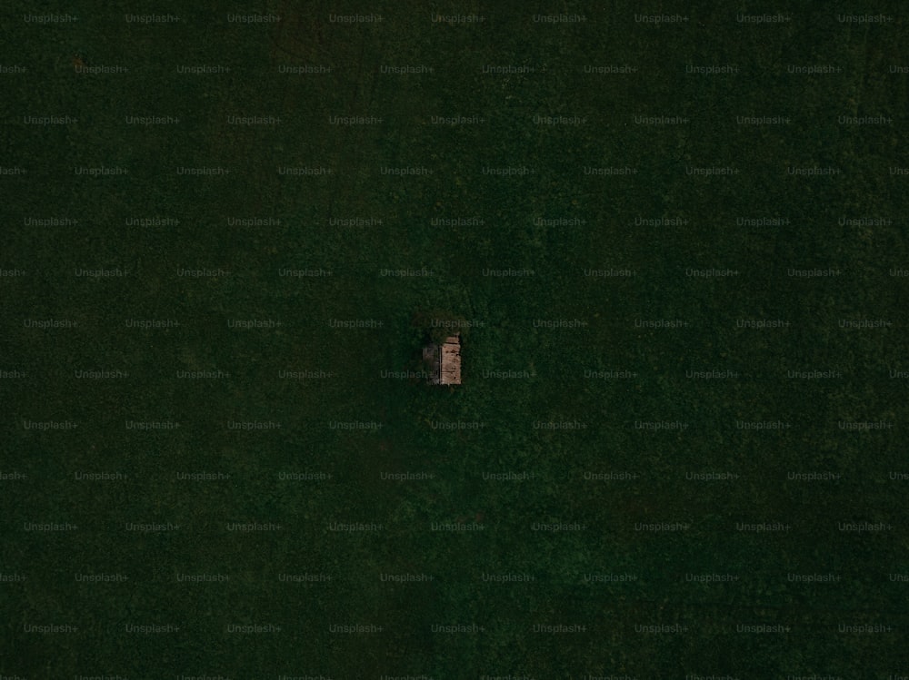 eine Luftaufnahme einer Person, die im Gras liegt