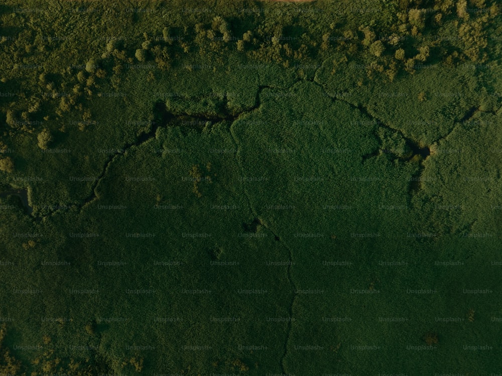 Vista aérea de uma área verde com terra e grama