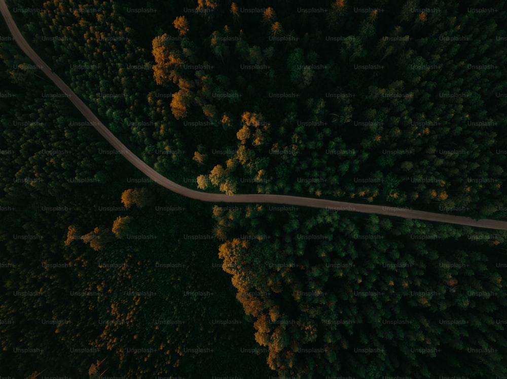 an aerial view of a road in the middle of a forest