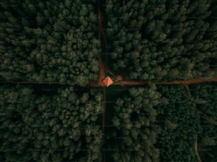 a small house in the middle of a forest