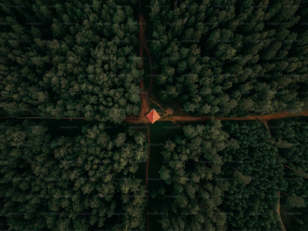 a small house in the middle of a forest