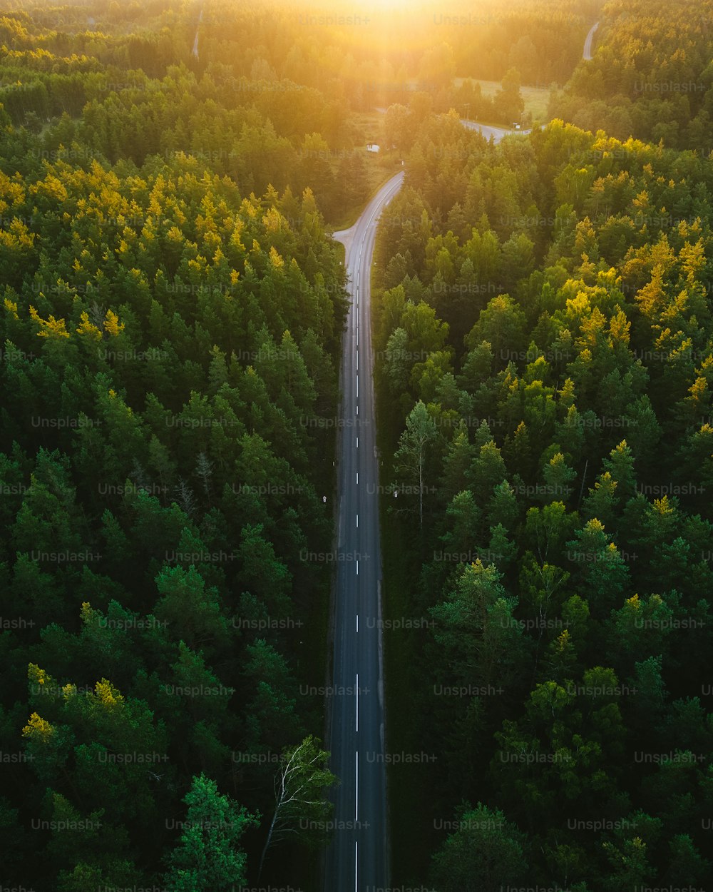 an aerial view of a road surrounded by trees