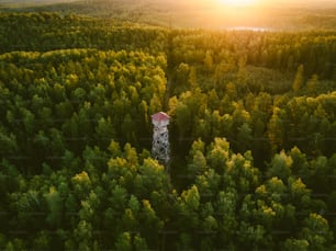 Una torre de radio en medio de un bosque