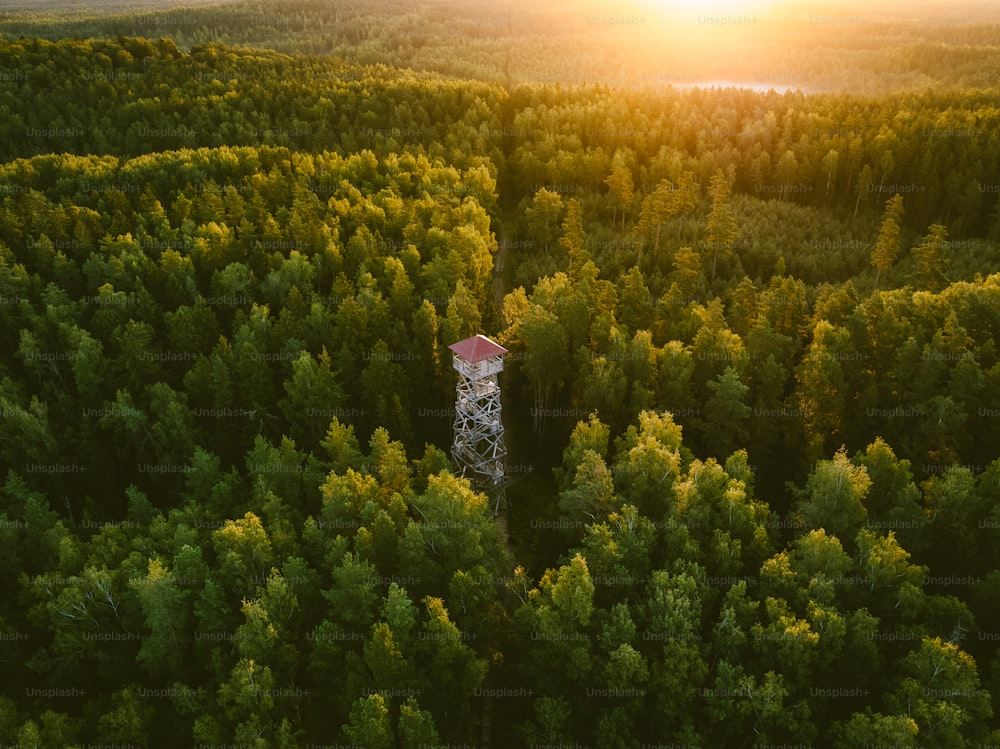 a radio tower in the middle of a forest