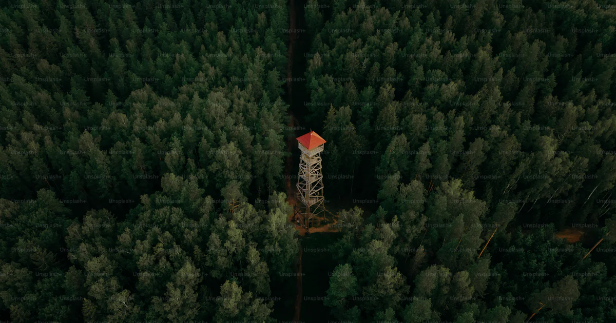 Una Torre Alta En Medio De Un Bosque Foto Imagen De Naturaleza En una-torre-alta-en-medio-de-un-bosque-foto-imagen-de-naturaleza-en