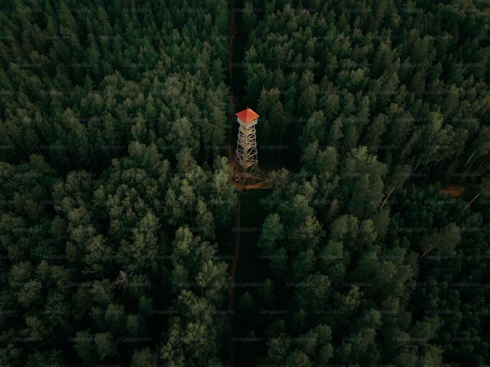 Ein hoher Turm mitten im Wald