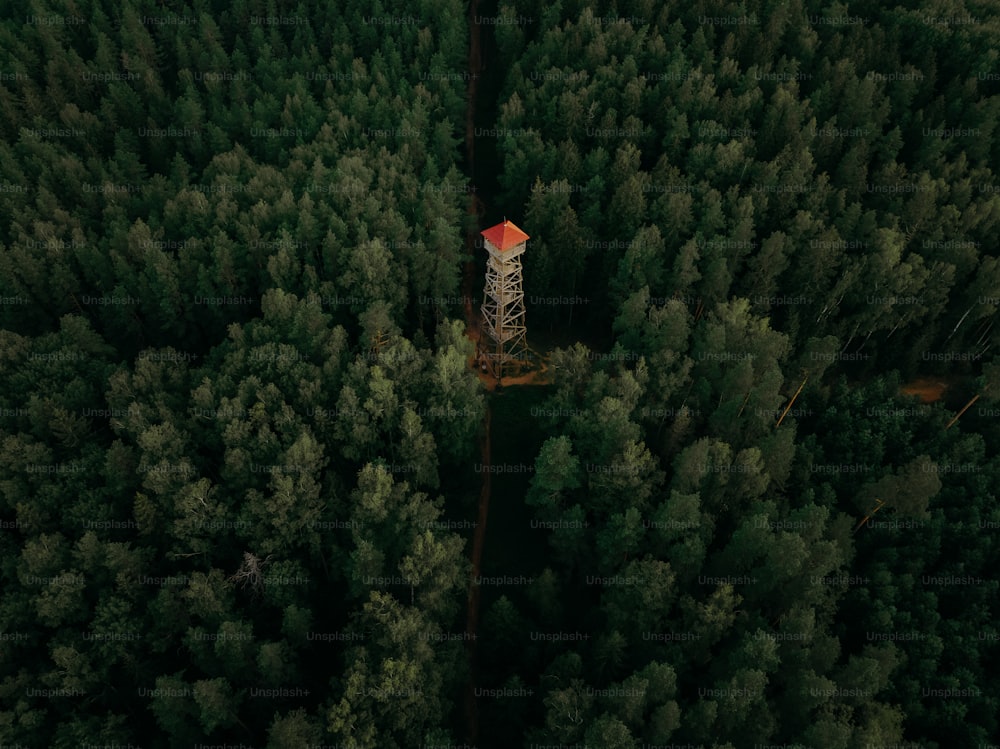 a tall tower in the middle of a forest