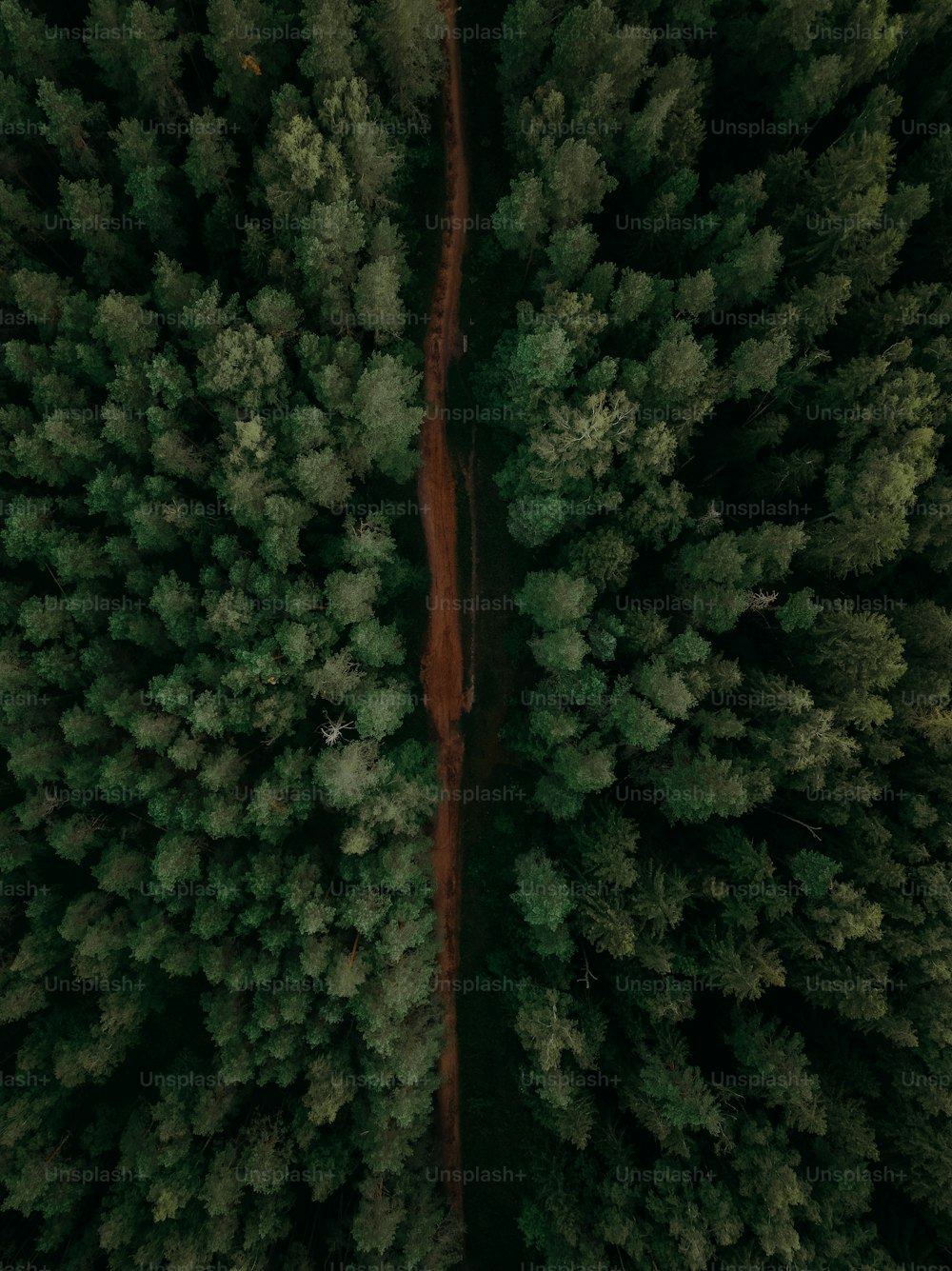 an aerial view of a road through a forest