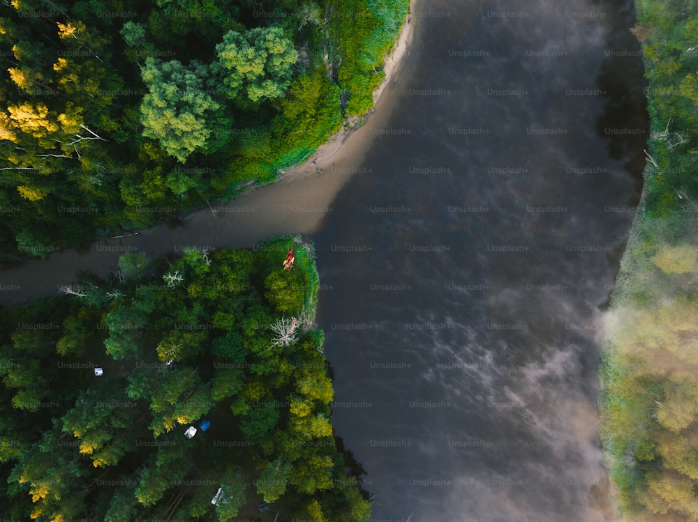 a river running through a lush green forest