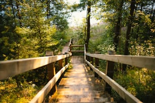 a wooden walkway in the middle of a forest