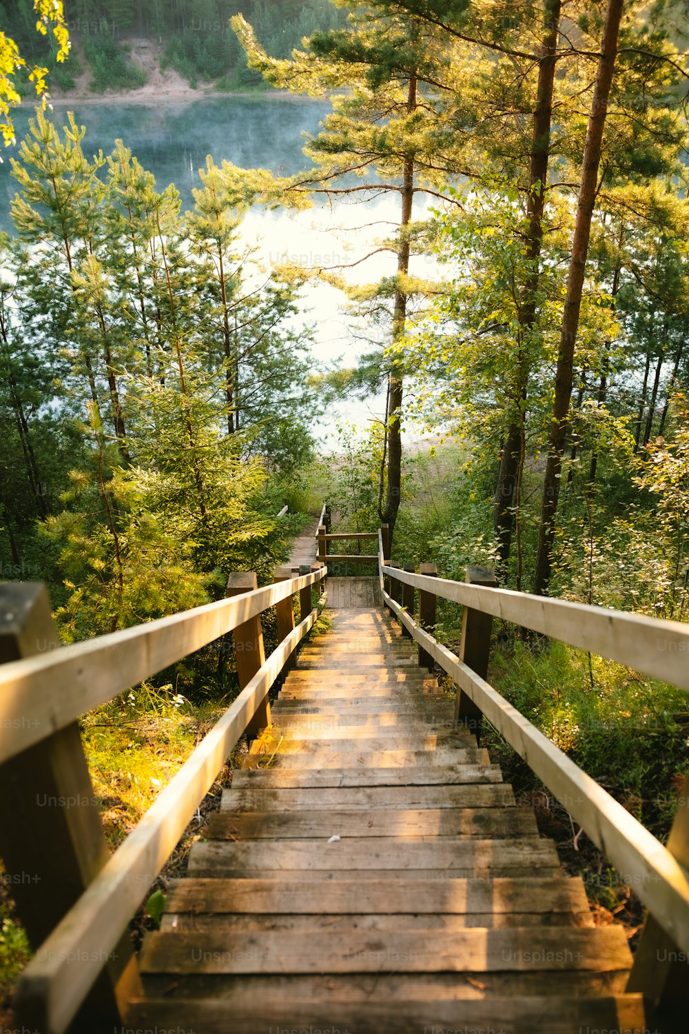 a wooden walkway leading to a lake surrounded by trees