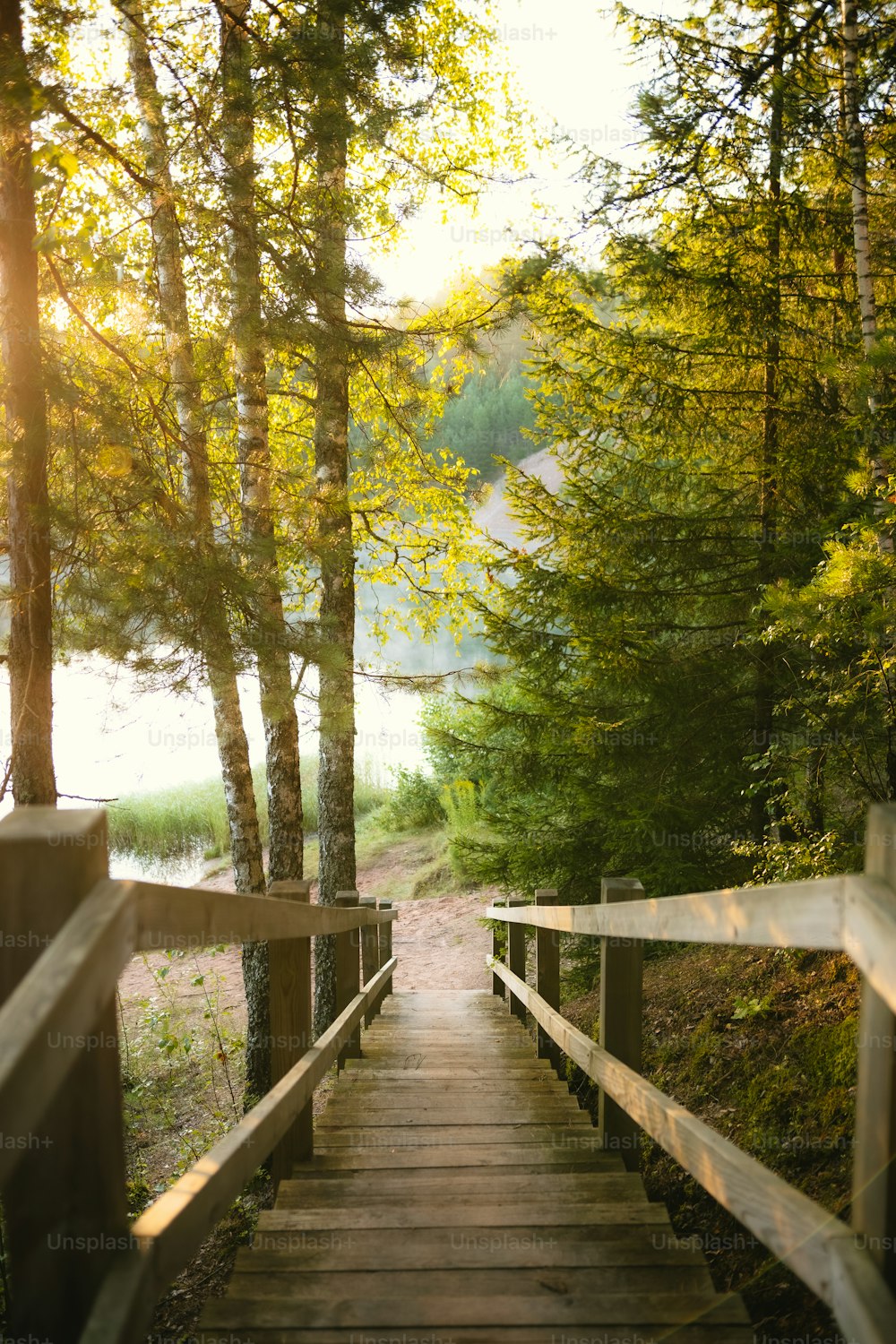 a wooden walkway leading to a lake surrounded by trees
