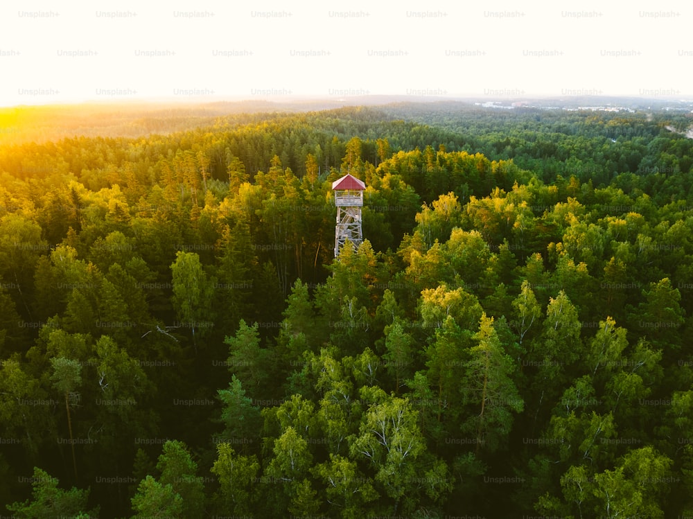 a tall tower in the middle of a forest