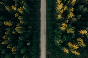 an aerial view of a road surrounded by trees