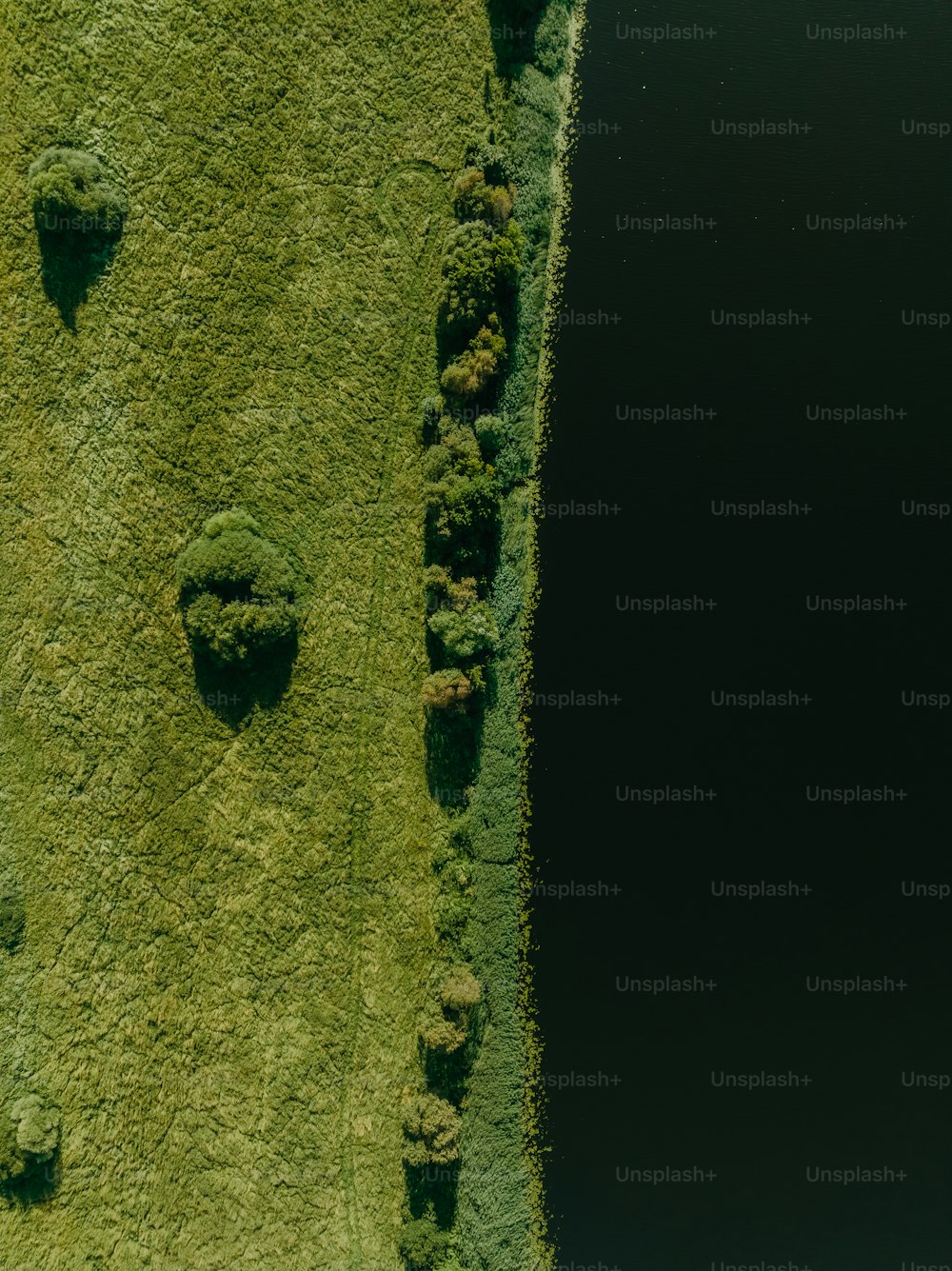 an aerial view of a grassy field with trees