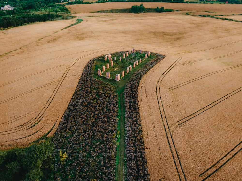 uma vista aérea de um grande campo com árvores