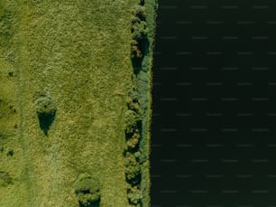 une vue aérienne d’une zone herbeuse avec une vue plongeante de la