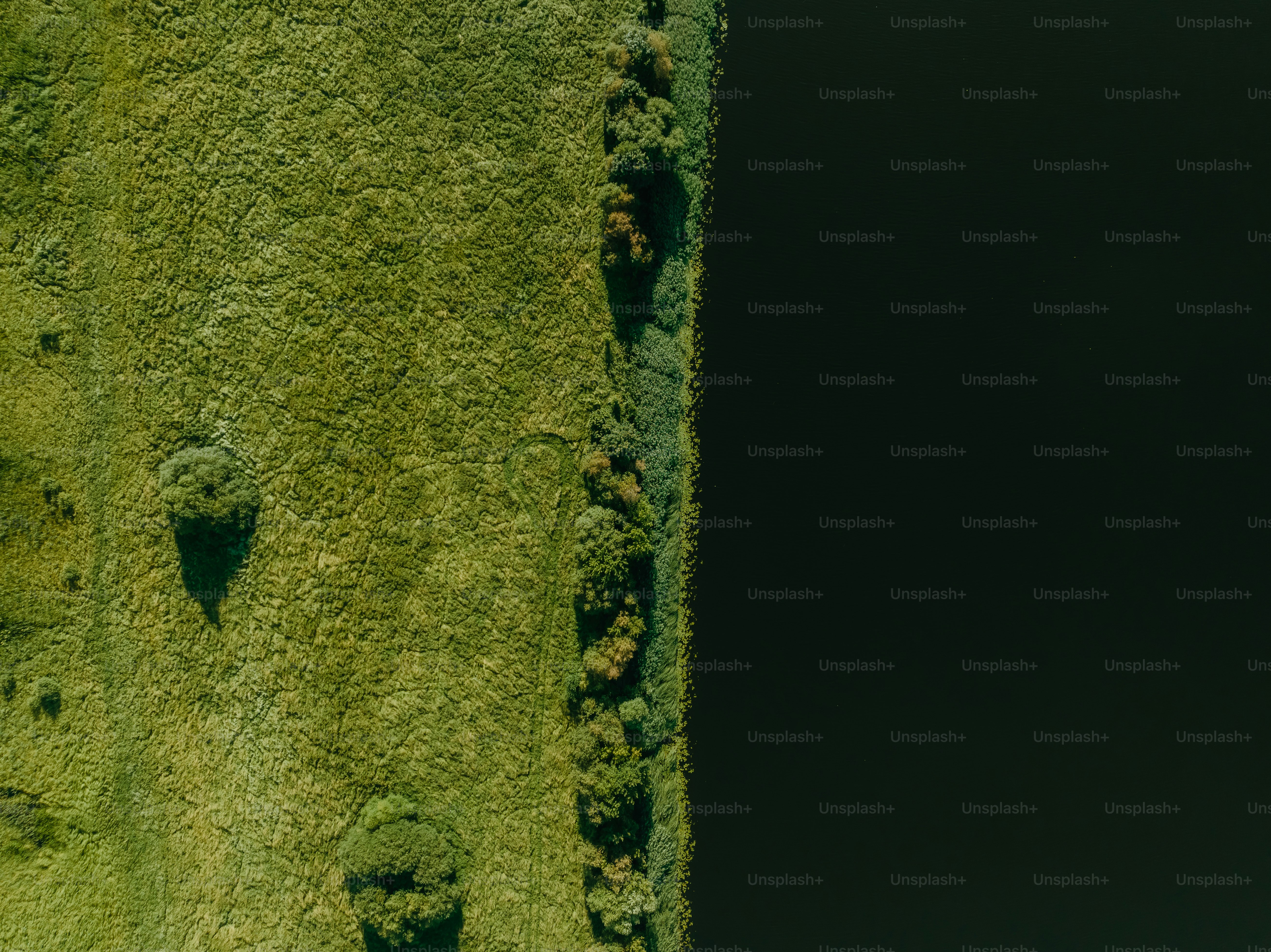 an aerial view of a grassy area with a bird's eye view of the