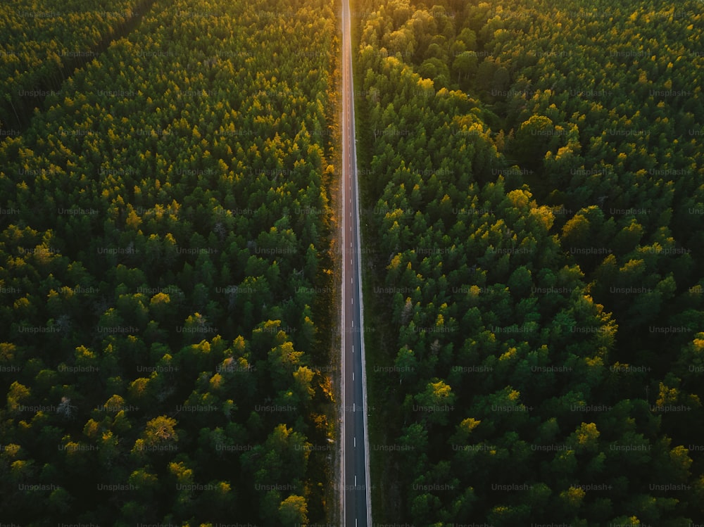 Eine Straße mitten im Wald