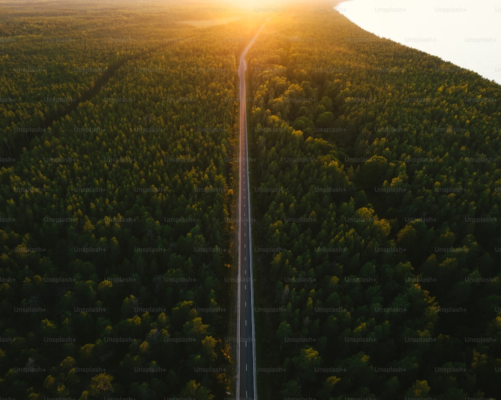 Vue aérienne d’une route au milieu d’une forêt