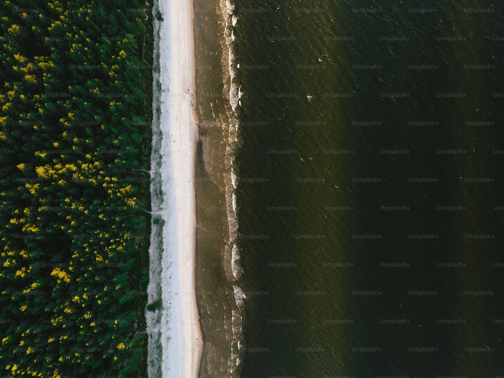 an aerial view of a beach and trees