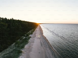 uma vista aérea de uma praia e árvores ao pôr do sol