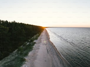 an aerial view of a beach and trees at sunset